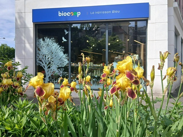 Photo BIOCOOP Le Hérisson Bleu
